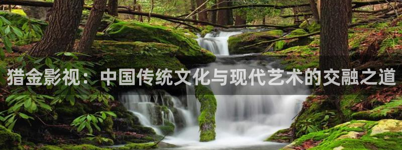 神马影院伦理午夜：猎金影视：中国传统文化与现代艺术的交融之道