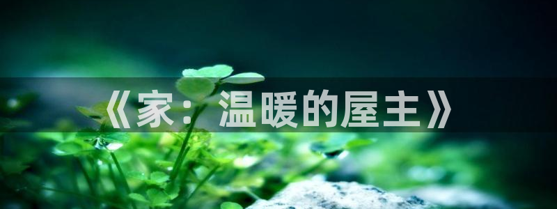 神马影院2024：《家：温暖的屋主》