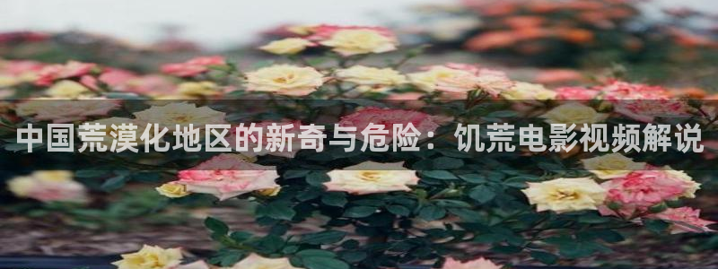 神马电影院你卡我不卡