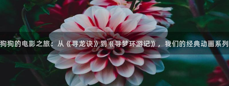 神马影院97岛：狗狗的电影之旅：从《寻龙诀》到《寻梦环游记》，我们的经典动画系列