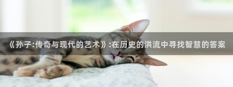 手机看片神马伦理：《孙子:传奇与现代的艺术》:在历史的洪流中寻找智慧的答案