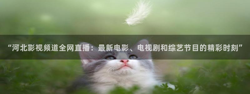 妈妈的朋友神马电影院