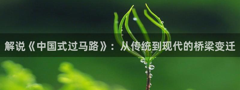 神马影院在线观看秋霞：解说《中国式过马路》：从传统到现代的桥梁变迁