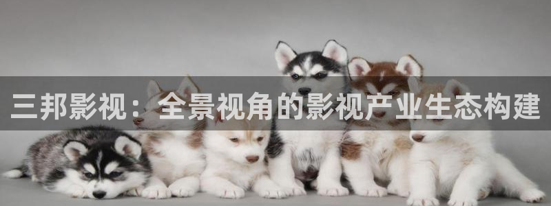 神马达达兔影院在线：三邦影视：全景视角的影视产业生态构建