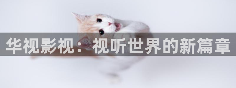 神马电影在线观看不卡：华视影视：视听世界的新篇章