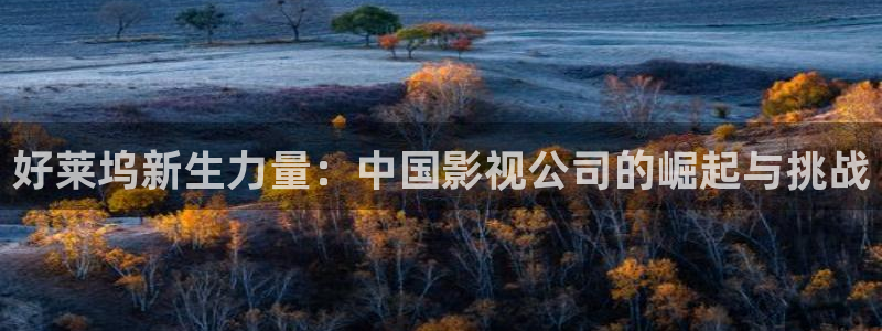神马电影院最新电影免费观看网站：好莱坞新生力量：中国影视公司的崛起与挑战