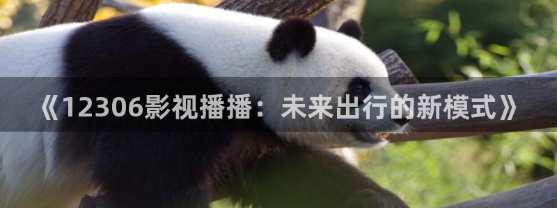神马九七影院：《12306影视播播：未来出行的新模式》