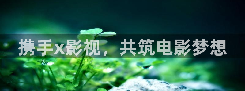 神马影院我不卡理论伦理：携手x影视，共筑电影梦想