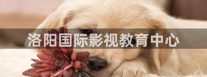 最新神马影视网：洛阳国际影视教育中心