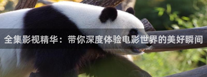 神马影院成人动漫