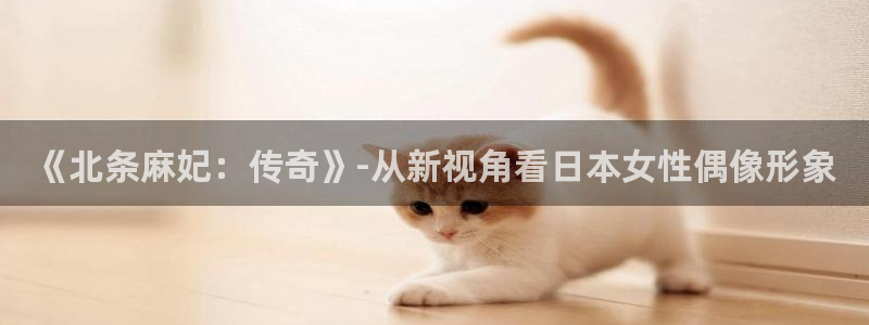 神马电影 小说：《北条麻妃：传奇》-从新视角看日本女性偶像形象