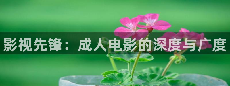 神马无敌琪琪电影在线观看：影视先锋：成人电影的深度与广度