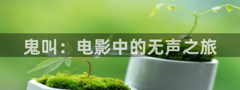 秋霞电影神马影院：鬼叫：电影中的无声之旅