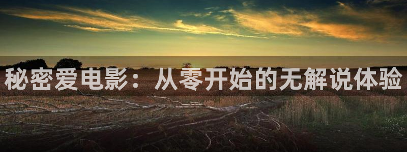 神马影院午夜韩国电影：秘密爱电影：从零开始的无解说体验