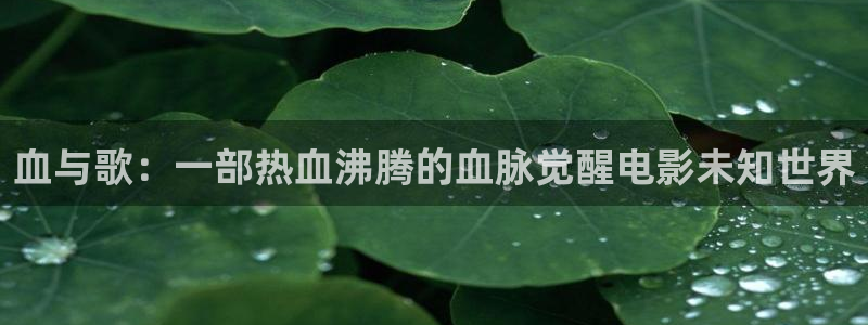 神马我不卡秋霞影院：血与歌：一部热血沸腾的血脉觉醒电影未知世界