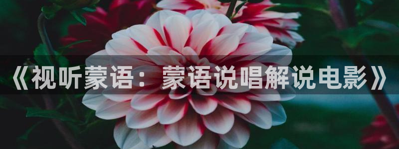 神马电影网6080：《视听蒙语：蒙语说唱解说电影》
