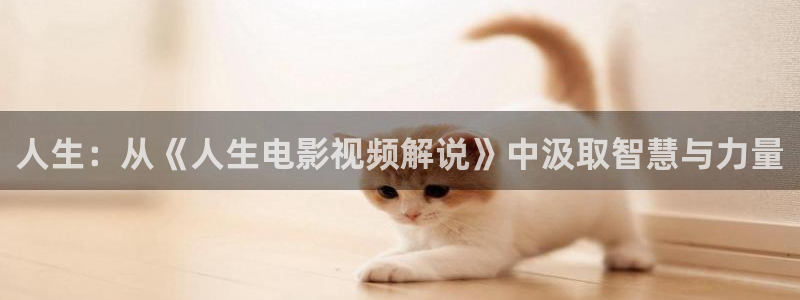 午夜神马红杏电影网：人生：从《人生电影视频解说》中汲取智慧与力量