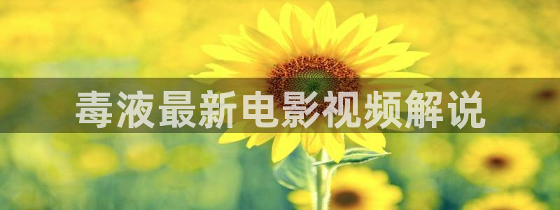 八戒八戒神马影院在线观看