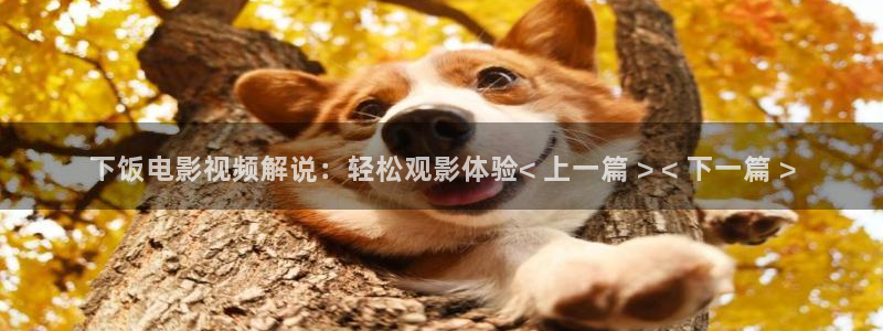神马老电影手机在线观看
