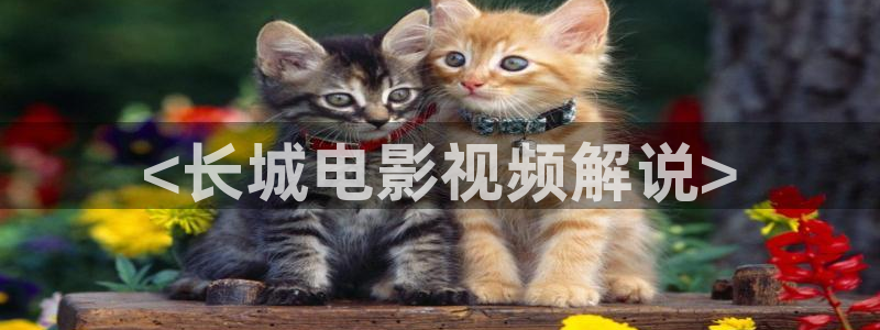 神马论理电影在线观看
