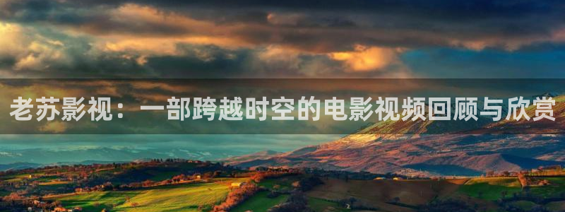 神马在线观看