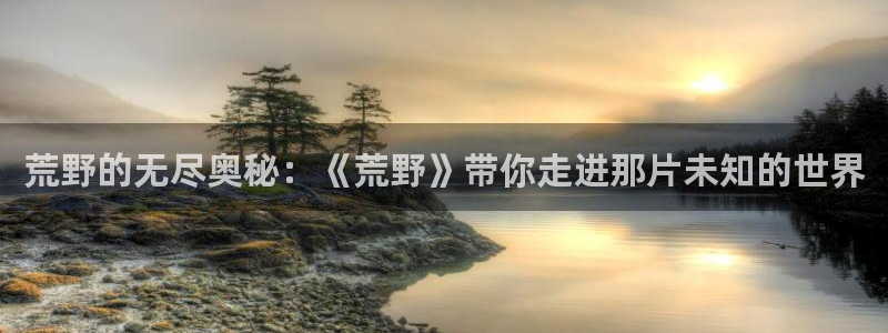 神马电影你懂的
