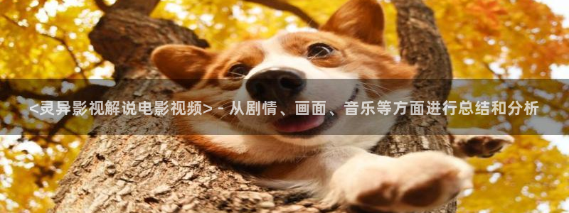 神马伦理不卡影院