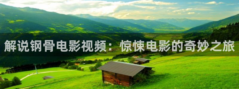 神马影院免费在线播放