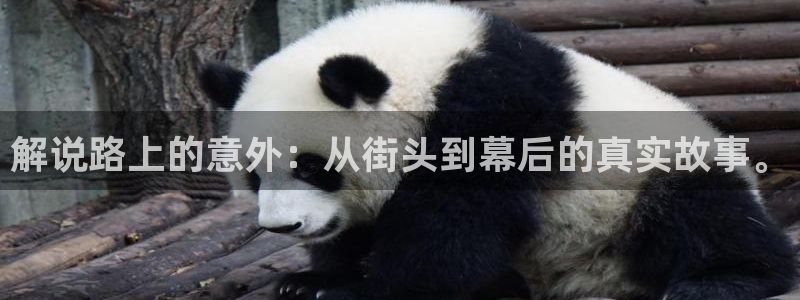 原来神马电影正版观看平台