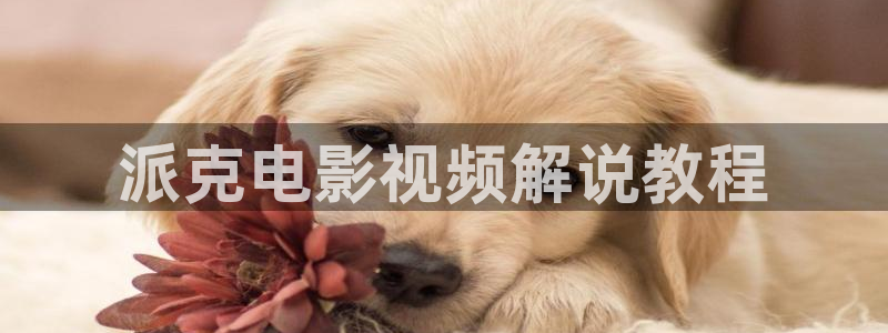 韩国电影情事神马