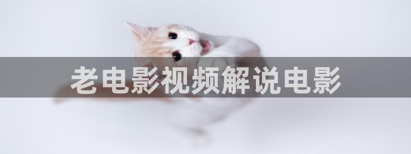 无敌神马电影影院在线观看