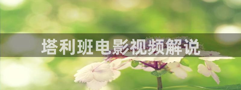 神马影院秋霞星空
