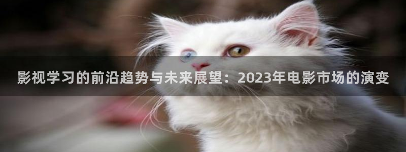 神马电影兔哒哒