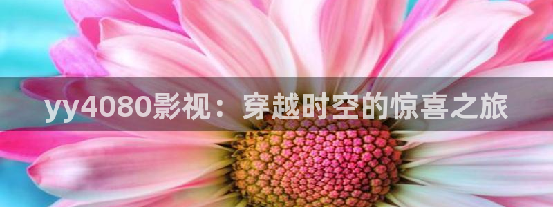 神马影院秋霞网