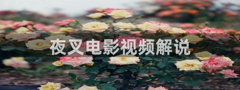 亚洲神马电影