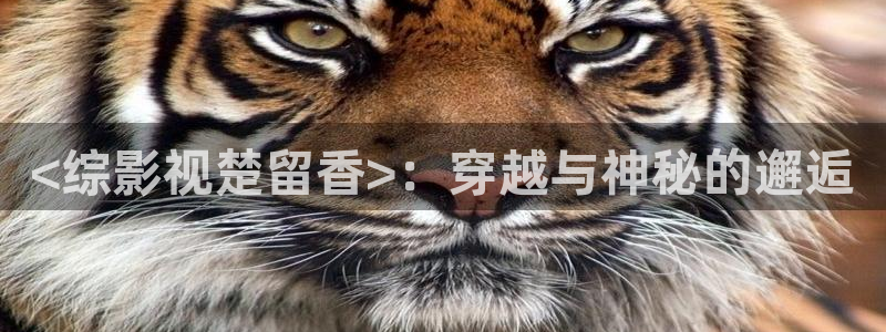 神马在线影院观看
