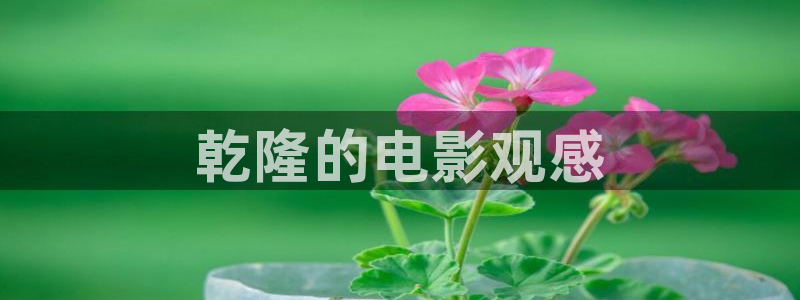神马影视资源