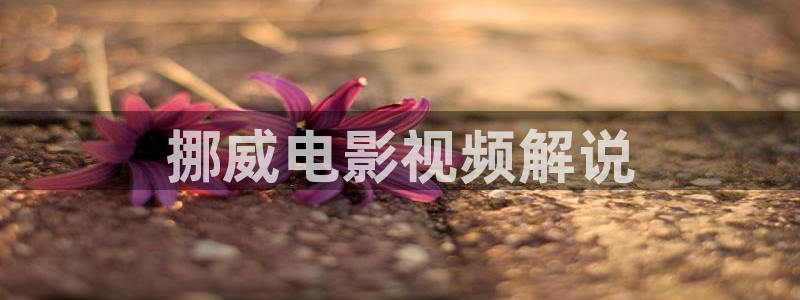 神马免费电影在线看