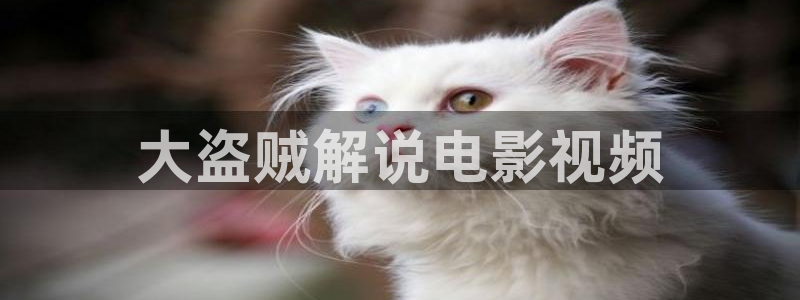 神马电影在线播放