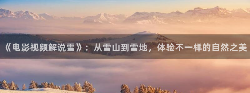 神马午夜看片