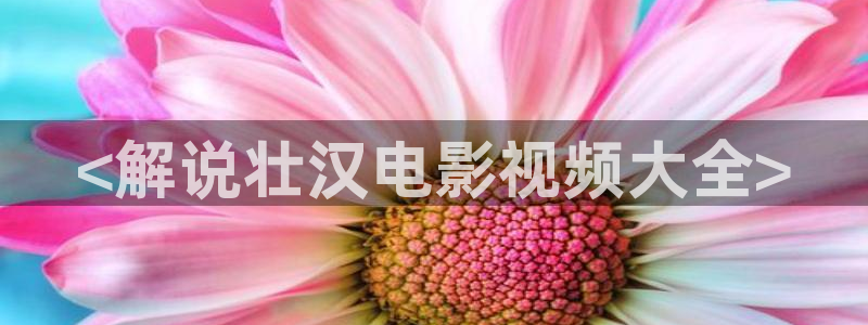 8090神马新视觉青苹果影院
