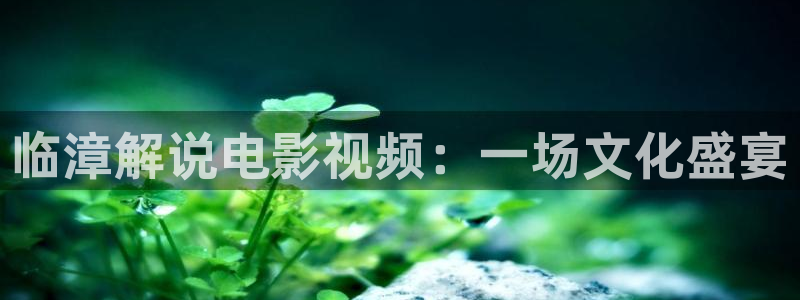 神马影院天堂影院