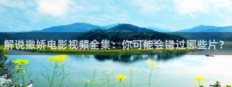 神马影院第九哒哒兔