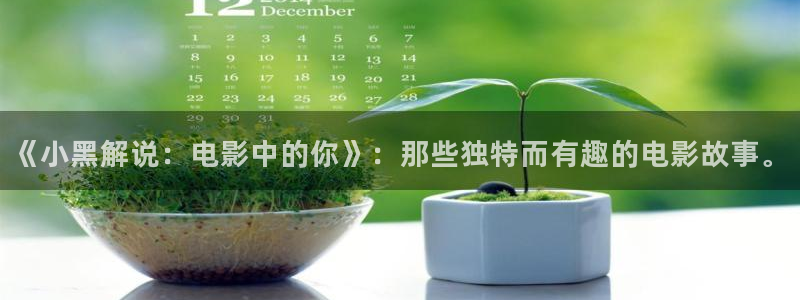 神马电影第六：《小黑解说：电影中的你》：那些独特而有趣的电影故事。