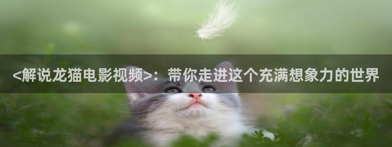 阿神马影院：<解说龙猫电影视频>：带你走进这个充满想象力的世界