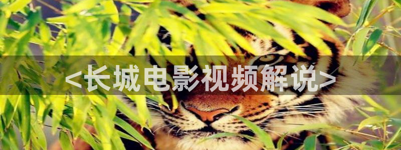 午夜电影神马影院：<长城电影视频解说>