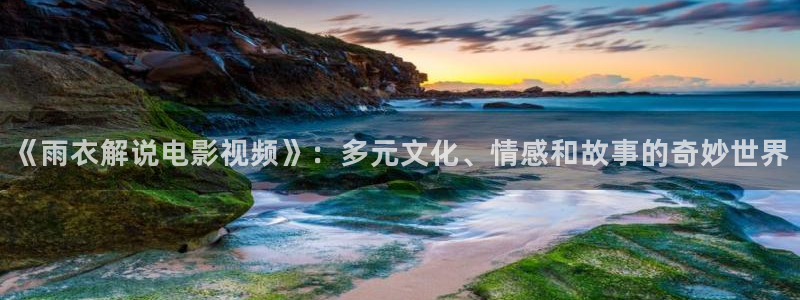 神马乐乐影院：《雨衣解说电影视频》：多元文化、情感和故事的奇妙世界