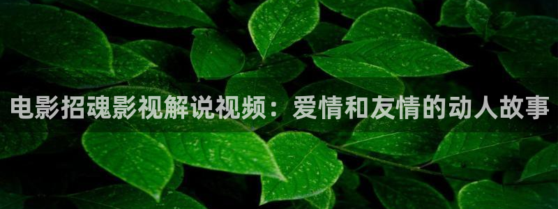 神马影视第九达达兔：电影招魂影视解说视频：爱情和友情的动人故事