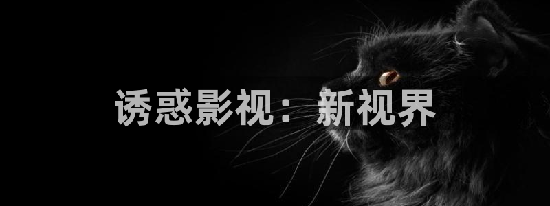 999神马影院：诱惑影视：新视界