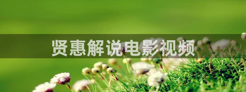 原来神马电影电视剧网：贤惠解说电影视频
